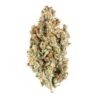 Ocean Beach Cookies carts flower