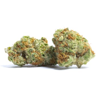 Collins ave cookies strain