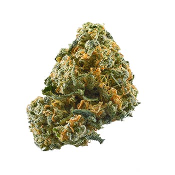 Gary payton cookies marijuana strain